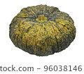 Pumpkins isolated on white with clipping path inside 96038146