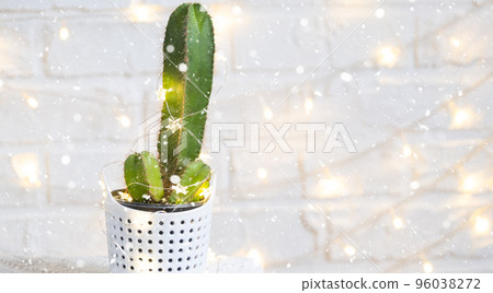 Funny cactus in shape of male penis in fairy lights, wrapped in warm, Christmas and New year decor. There will be no holiday without gifts. Intimate depilation for men. Potted house plants, home decor 96038272