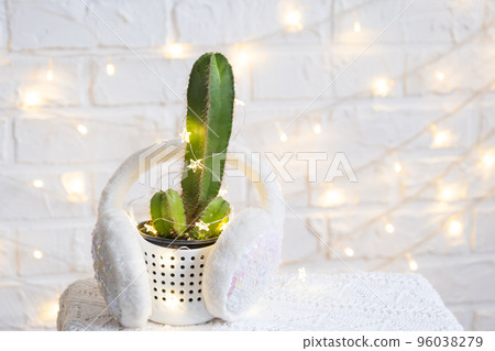 Funny cactus in shape of male penis in fairy lights, wrapped in warm, Christmas and New year decor. There will be no holiday without gifts. Intimate depilation for men. Potted house plants, home decor 96038279
