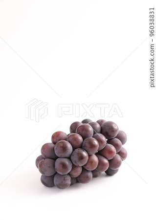 Red grapes isolated in white background 96038831