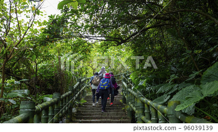 Forest trails, slate trails, tourists, climbers, forest trails, stone trails, tourists, climbers, hikers, 96039139