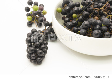 收穫的野葡萄 96039304