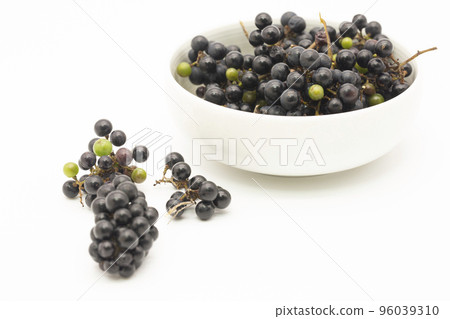 Harvested wild grapes 96039310