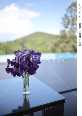 purple flower in jar on home purple flower in jar on home 96039787
