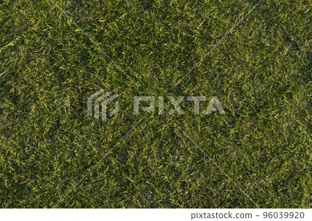 草坪 96039920