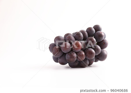 Red grapes isolated in white background Red grapes isolated in white background 96040686