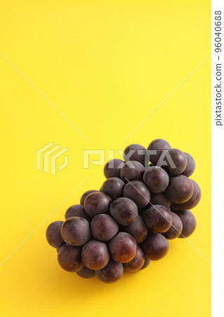 Red grapes isolated in yellow background Red grapes isolated in yellow background 96040688