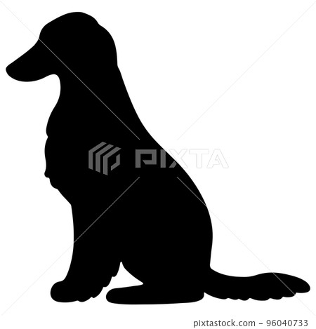 Simple and cute Afghan hound silhouette sitting sideways Simple and cute Afghan hound silhouette sitting sideways 96040733