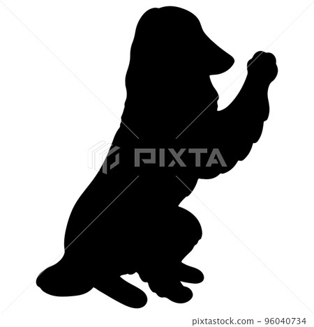 Silhouette of a simple and cute afghan hound waving Silhouette of a simple and cute afghan hound waving 96040734