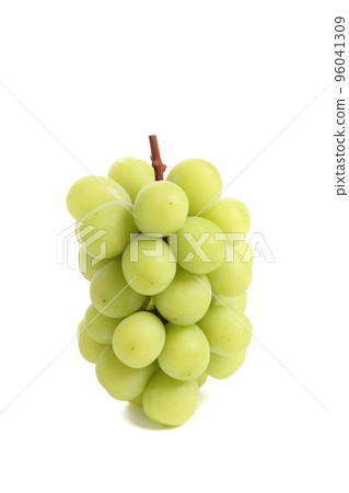 Green grape isolated in white background Green grape isolated in white background 96041309
