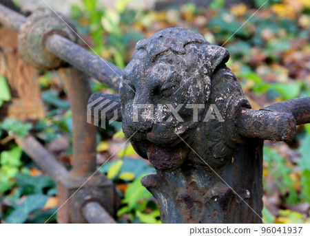 Eroded weathered gray fence lion head ornament. Eroded weathered gray fence lion head ornament. 96041937
