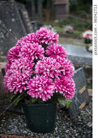 closeup of pink artificial flowers on tomb in cemetery 96042713