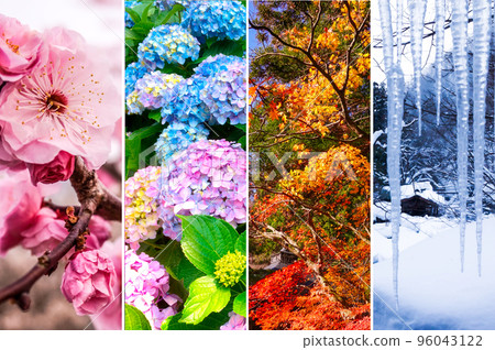 Spring summer autumn winter collage background image 96043122
