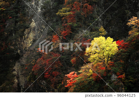 A trip to Nikko, the scenery of autumn leaves in the mountains like a painting 96044125