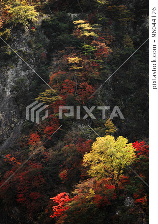 日光之旅，山中秋葉如畫 96044126