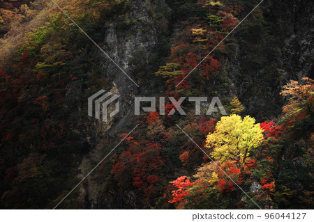 日光之旅,山中秋葉如畫 日光之旅,山中秋葉如畫 96044127