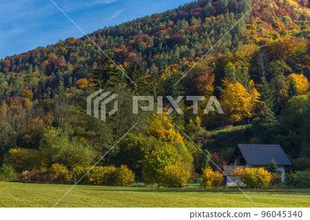 Autumn landscape with small house and colorful trees near Graz, Styria region, Austria 96045340