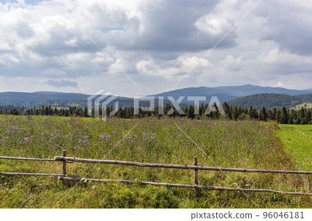 Mountain meadow in Carpathians. Countryside summertime landscape with valleys and grassy hills. Nature freshness concept 96046181