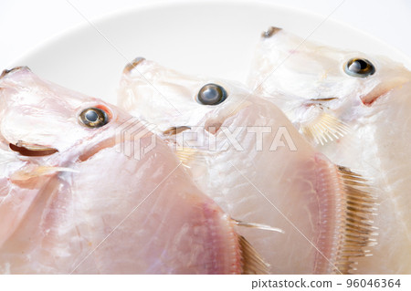 Filefish with skin removed. Filefish with skin removed. 96046364