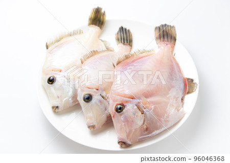 Filefish with skin removed. (white background) Filefish with skin removed. (white background) 96046368