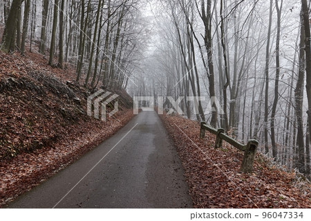 Winter forest road, frost on trees 96047334