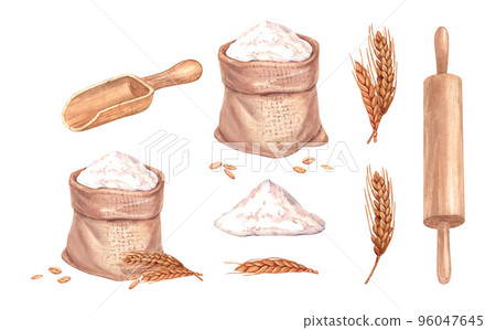 Watercolor set flour bag and wheat ear, scoop, rolling pin. Hand drawn illustration, isolated on white background. Bakery, cafe, restaurant menu element. Recipe book, cooking book graphics 96047645