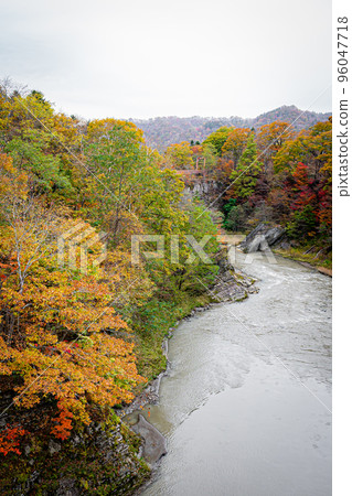 Autumn Takinoue Park in Hokkaido Autumn Takinoue Park in Hokkaido 96047718