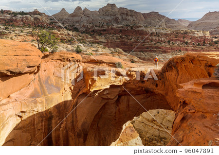 Capitol Reef Capitol Reef 96047891