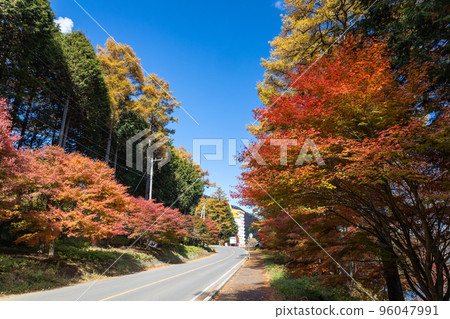 Mt. Haruna in Autumn, Lake Haruna Outer Road, Gunma Prefecture 96047991