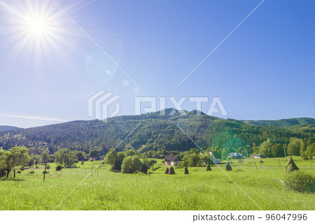 Village houses on hills with green meadows in summer day Village houses on hills with green meadows in summer day 96047996