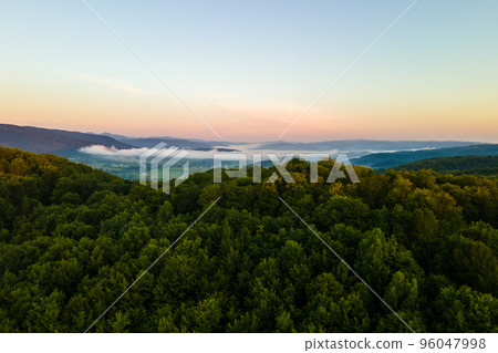 Vibrant foggy morning over dark forest trees at bright summer sunrise. Amazingl scenery of wild woodland at dawn. Vibrant foggy morning over dark forest trees at bright summer sunrise. Amazingl scenery of wild woodland at dawn. 96047998
