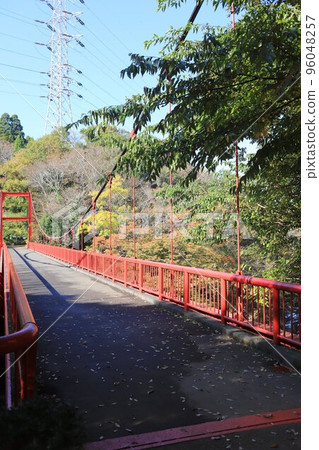 和泉自然公園 de 紅葉 96048257