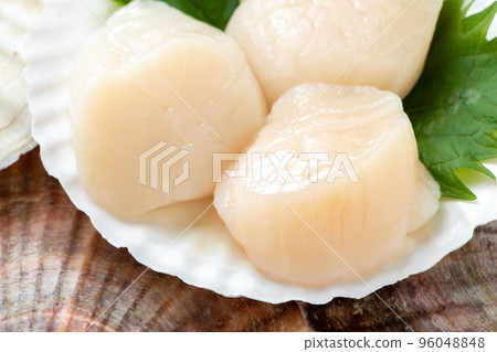 扇貝生魚片放在扇貝殼上。 扇貝生魚片放在扇貝殼上。 96048848