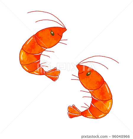 two cute shrimp 96048966