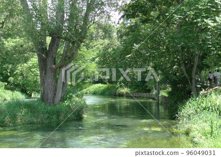 A clear stream flowing through Daio Wasabi Farm 96049031
