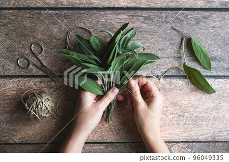 Sage leaf bundle in hands, hemp string and scissors on old wooden table Sage leaf bundle in hands, hemp string and scissors on old wooden table 96049335