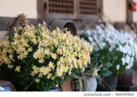 Chado, Folk Village, Tradition 96049468