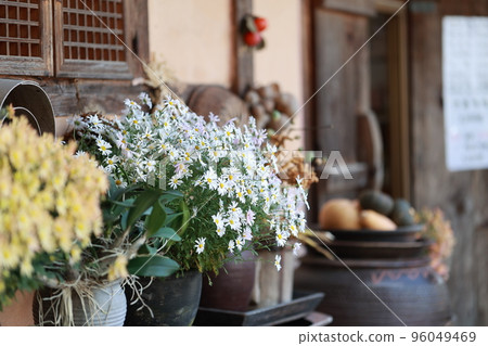 茶道, 民俗村, 傳統 96049469