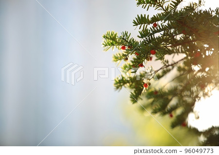 autumn festival, autumn scenery autumn festival, autumn scenery 96049773