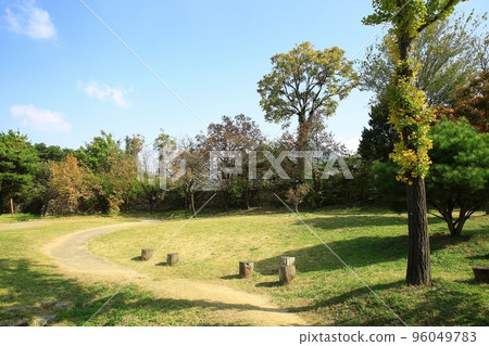 autumn festival, autumn scenery 96049783