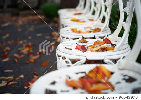 A chair full of dry leaves A chair full of dry leaves 96049978
