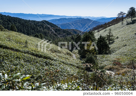 Fujimidai Kogen (Late October) 96050004