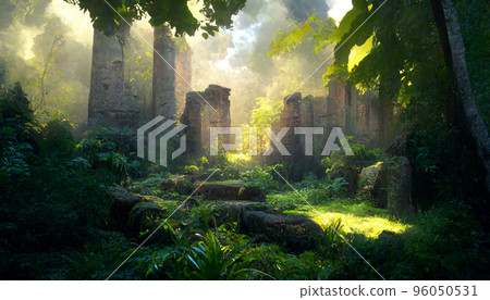 森林 樹 性質 山林 草 草原 陽光 通過樹葉 96050531