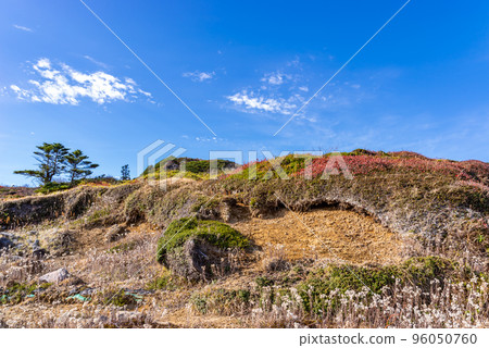 10月下旬從志賀-草津高原路線的中央分水嶺附近看到的斜坡和自然 96050760