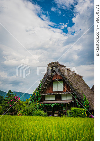 Scenery of Shirakawa-go in summer Scenery of Shirakawa-go in summer 96050871