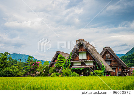 夏天的白川鄉風景 夏天的白川鄉風景 96050872