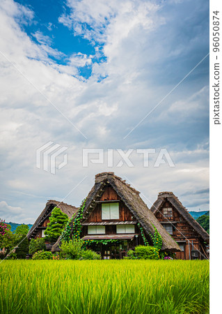 夏天的白川鄉風景 夏天的白川鄉風景 96050874