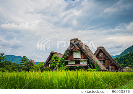 夏天的白川鄉風景 夏天的白川鄉風景 96050876
