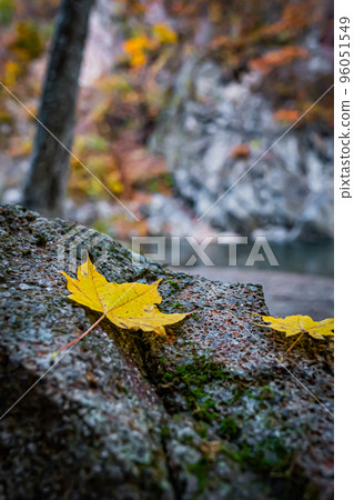 北海道定山溪秋季風光 96051549