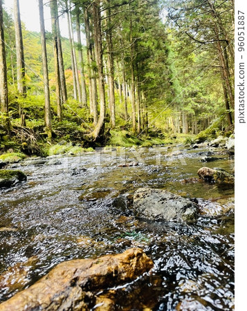 The babbling of a river flowing through the mountains 96051887